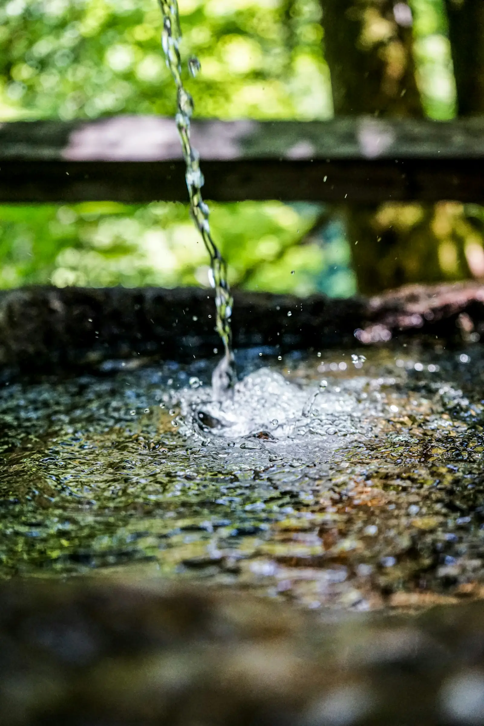 Abundant Fresh Water