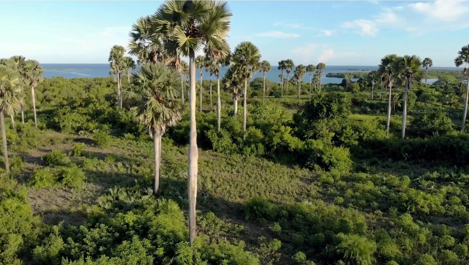 Luxury beachfront setting in Pemba